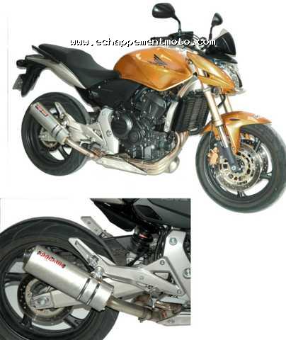 HONDA CB600F HORNET 2007 NINJA HONDA CB600F HORNET 2007 NINJA